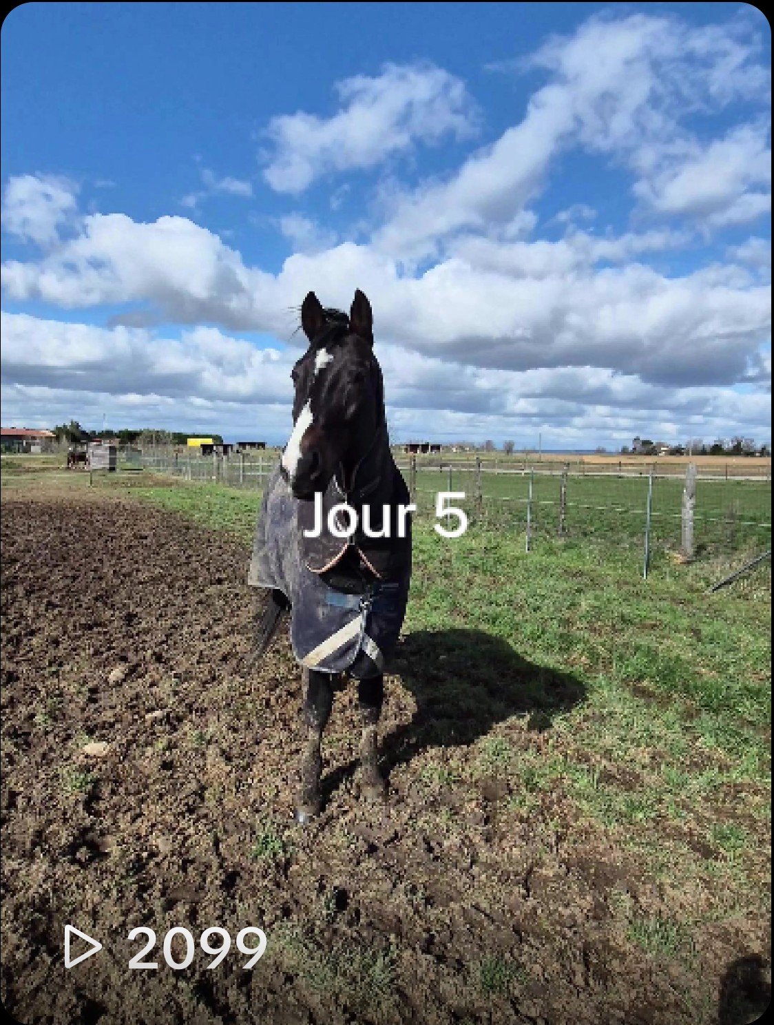 Mes débuts